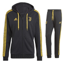 Juventus DNA FZ Hooded Suit 23