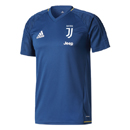 Juventus Authentic edzmez