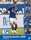 Schalke 04 naptr 2016