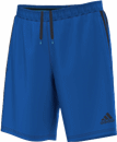 Condivo 16 Woven Short blu