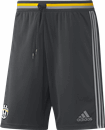 Juventus Training Short