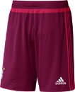 Bayern Mnchen Training Short WB maroon