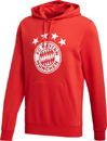 Bayern Mnchen DNA Hoody