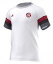 Bayern Mnchen SF Tee