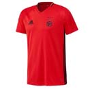 Benfica Training Jersey rd