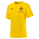 Diortmund Training Jersey yellow