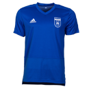 Fehervar Training Jersey