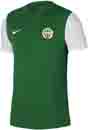 Ferencvros Training Jersey green