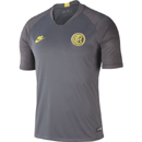 Internazionale Strike Training Jersey gray