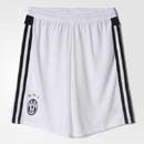 Juventus hazai nadrg 15-16