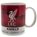 Liverpool pohár SC Liverpool pohár SC