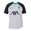 Liverpool Training Jersey gray