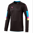 Tournament GK Jersey black