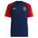 Spain Training Jersey 22